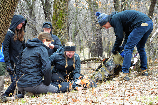 emergency medicine students working in trees