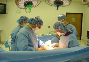 Surgeons perform an operation.