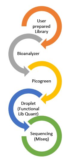 User-Prepared Lib