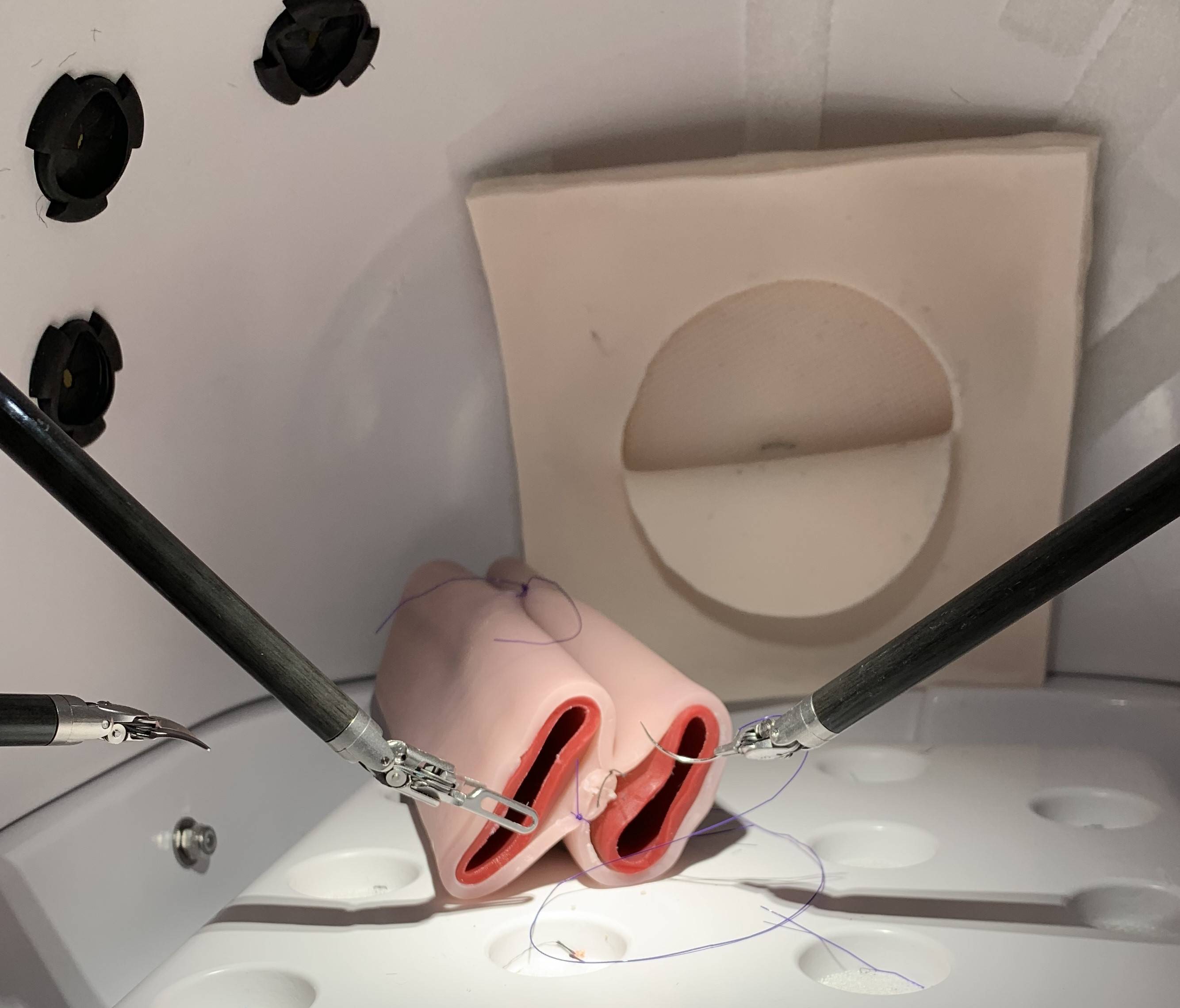 robotic simulation of tissue suture